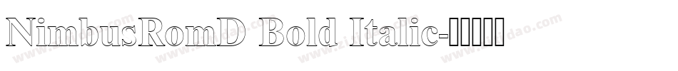 NimbusRomD Bold Italic字体转换